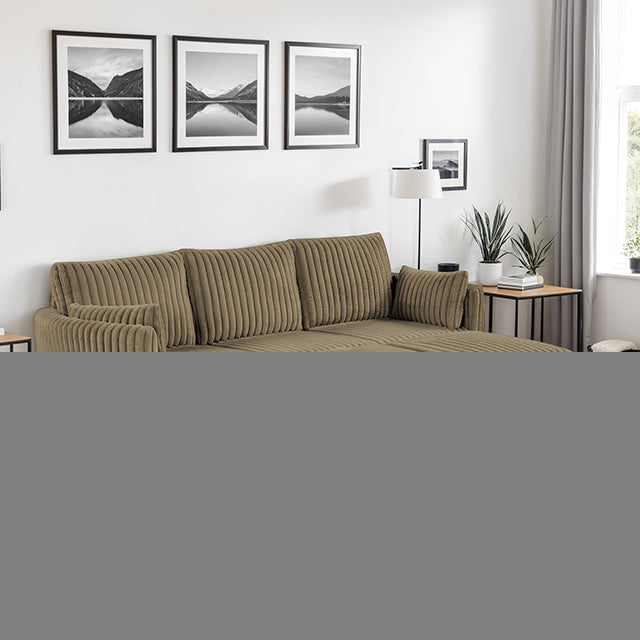 Denholme Sectional w/ Pull Out